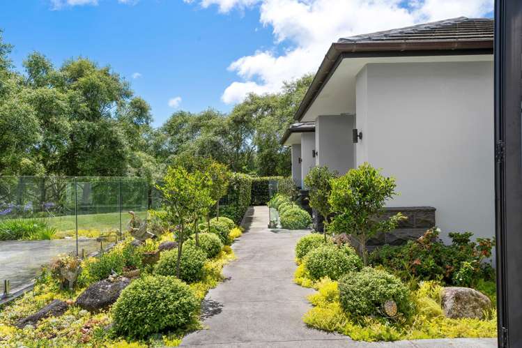 11 Kingscliff Rise Dairy Flat_59