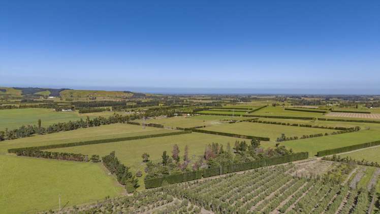 206 Mount Brown Road Broomfield_44