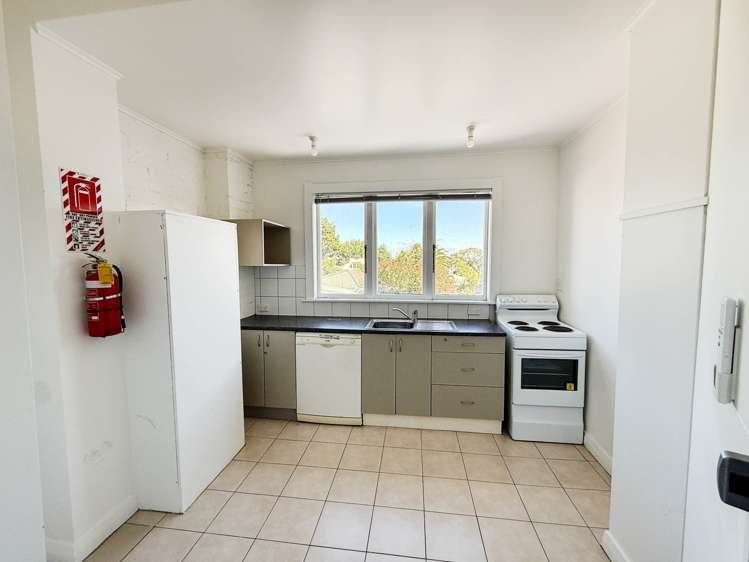 331 Dominion Road Mt Eden_5
