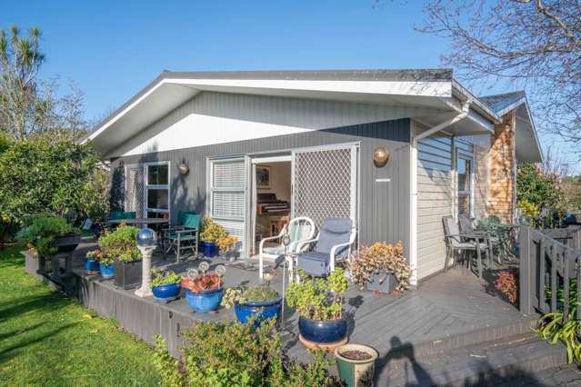 80 Webster Avenue Mount Roskill_4