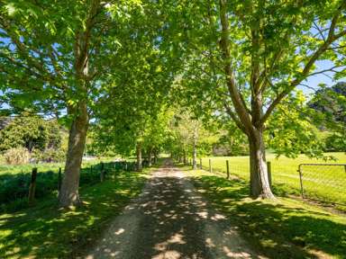 9 Wainui Valley Road_2