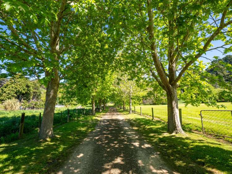 9 Wainui Valley Road Wainui_2