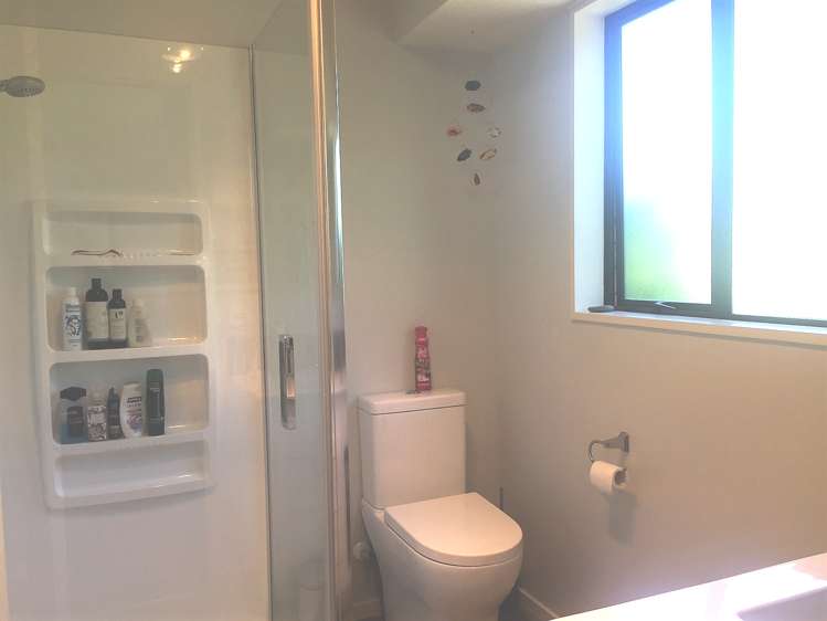 17 Showgate Avenue Sockburn_12