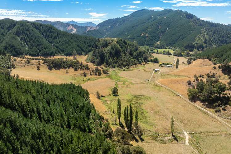 407 Onamalutu Road Wairau Valley_39