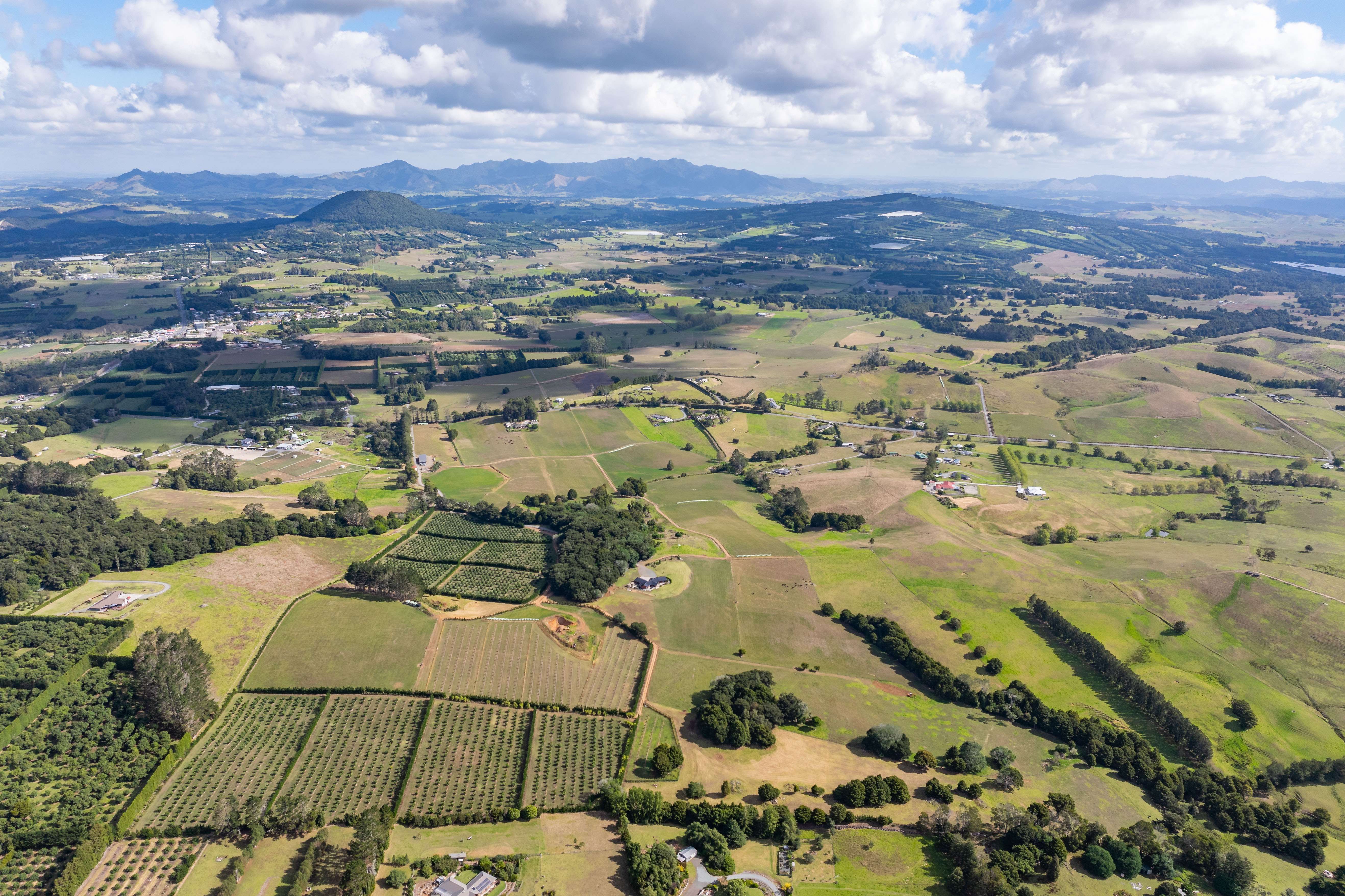 66 Kokopu Block Road Maungatapere Whangārei Rural Property For