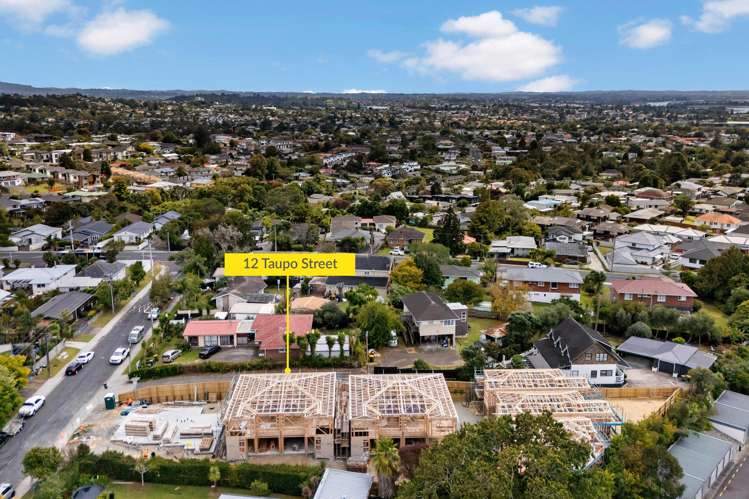 12 Taupo Street Green Bay_6