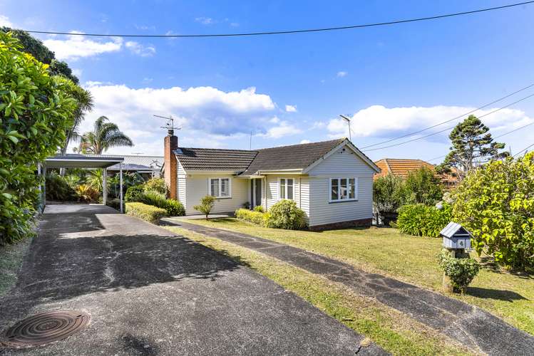 4 Locke Avenue Mount Roskill_12