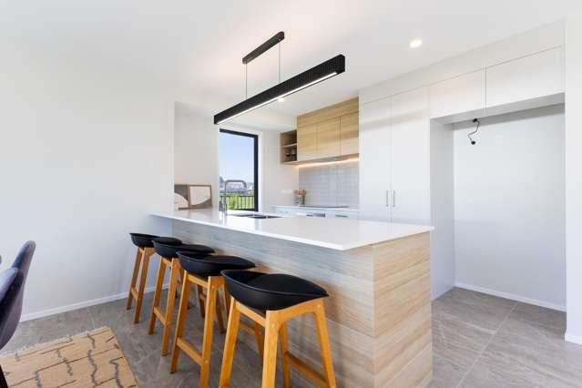 100 Waipunahau Road Waikanae_2