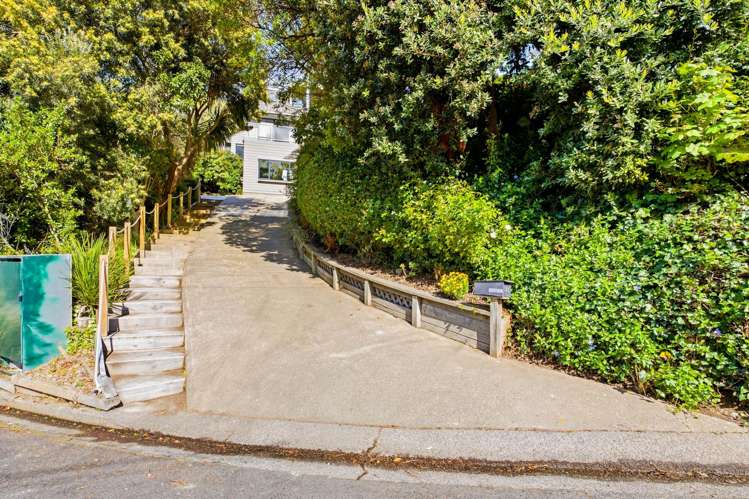 33 Braeview Crescent Maori Hill_33