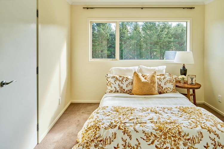 999 Moonshine Road Judgeford_17