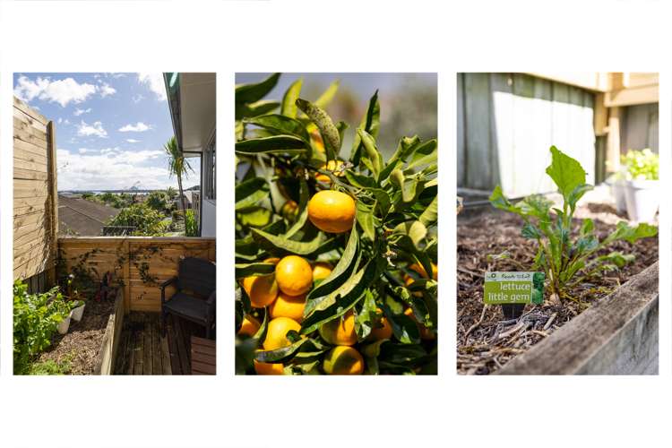 11 Highlander Place Welcome Bay_50