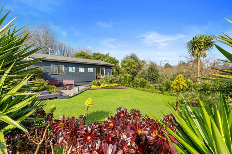 554 Rangiuru Road Te Puke_27