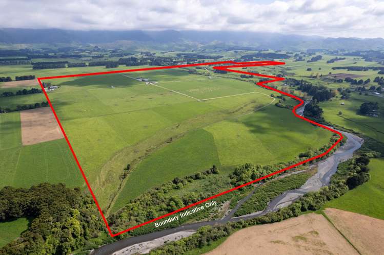 651 Top Grass Road Dannevirke_14