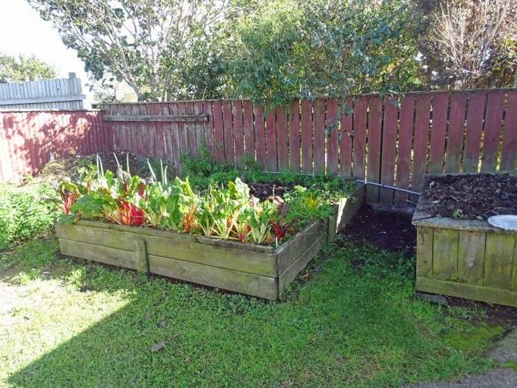 52b Puke Road Paeroa_9