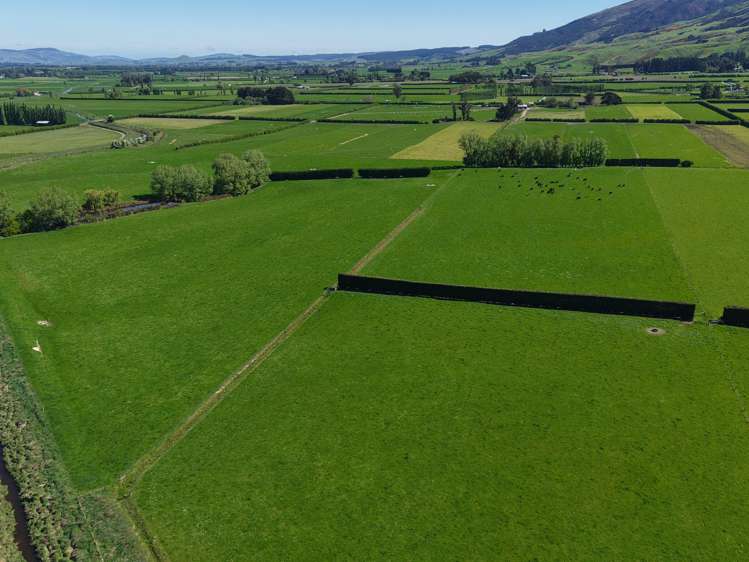 35 Maungatua Road Taieri Plain_7