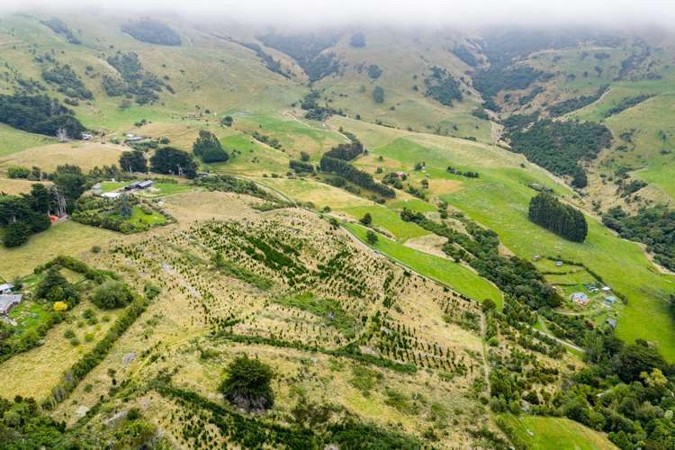 226 Middle Road Pigeon Bay_26