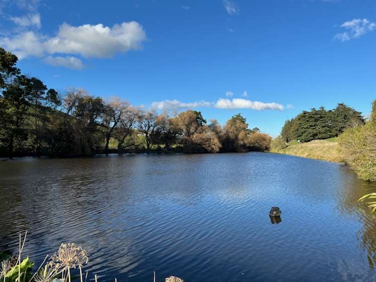 30 Mangahei Road Dannevirke_25