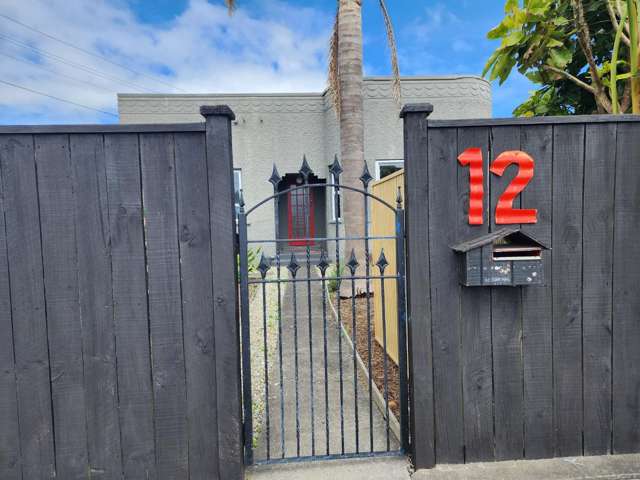 12 Vogel Street Fitzroy_1