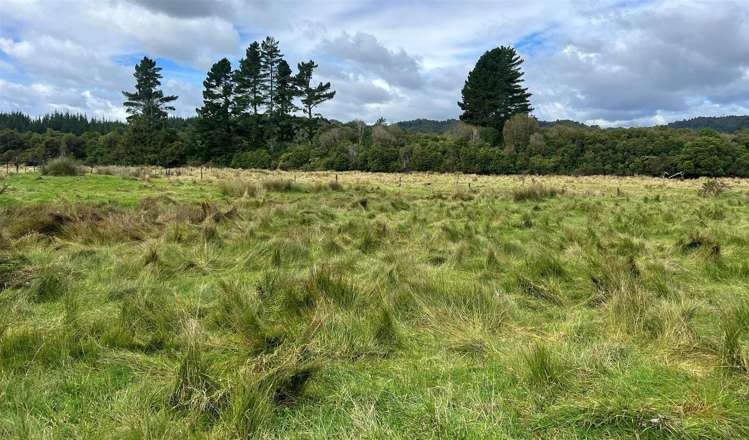 18 Maori Creek Road Marsden_32