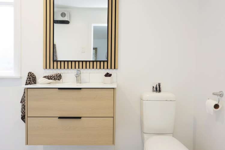 50 Albert Street St Clair_19