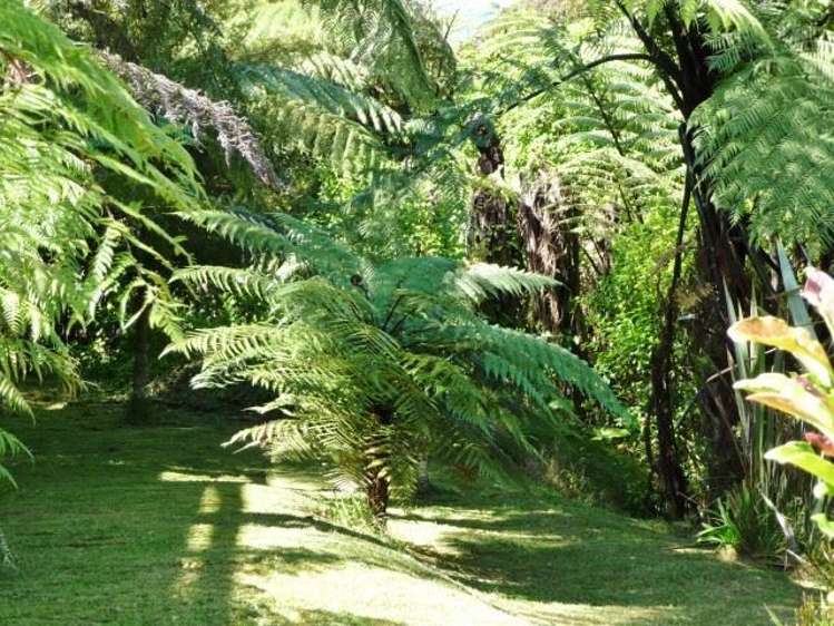 251 Dangen Road Peria_22