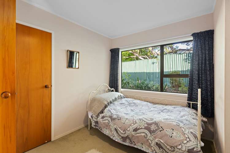 14l Cradock Street Avondale_18