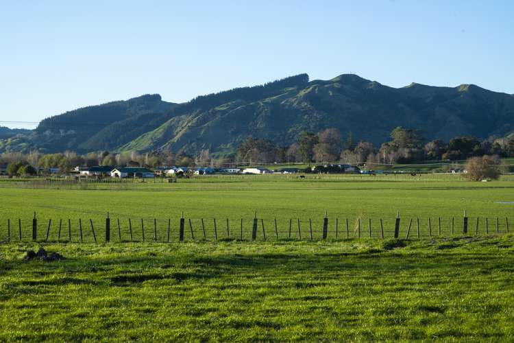 82 Hansen Road Makauri_16