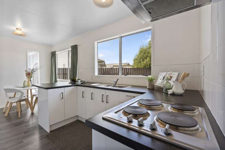 25 Grenville Street Levin_7