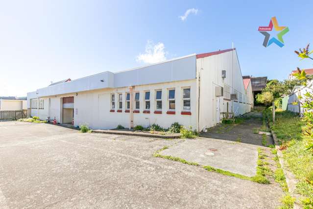 15 Ferguson Street Newtown_3