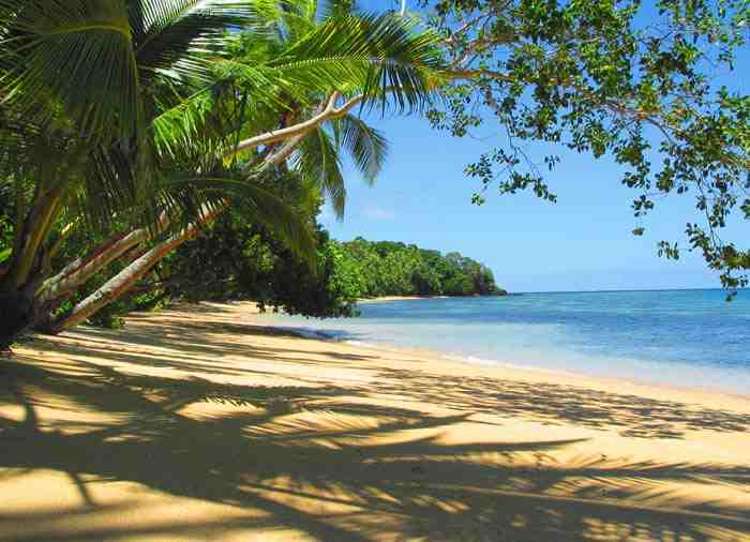 Lot 1 Gau Island, Lomaiviti Group, Outer Islands_40