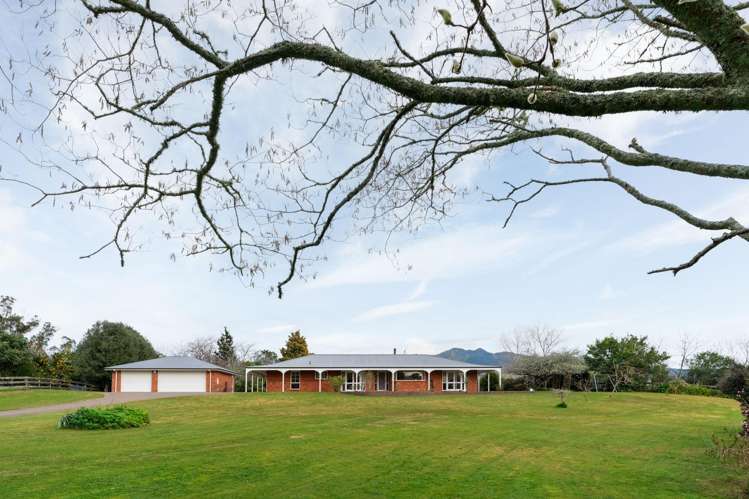 440 Franklin Street Pirongia_17