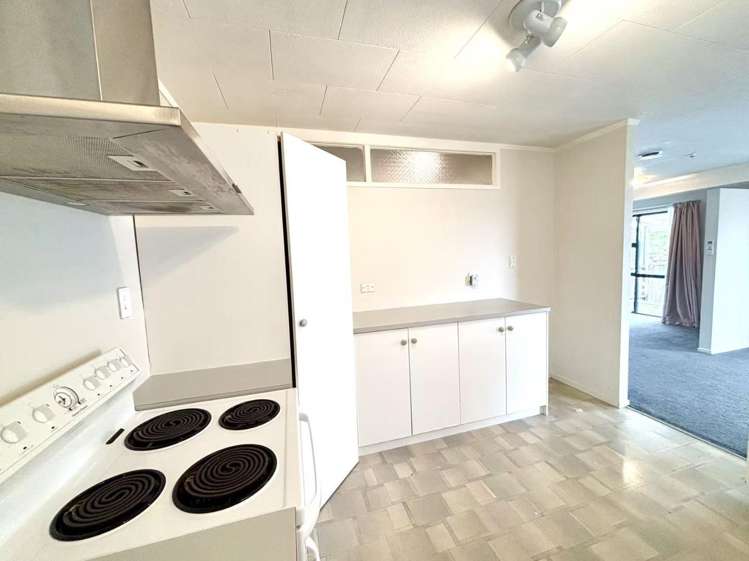 47 Sturges Road Henderson_7