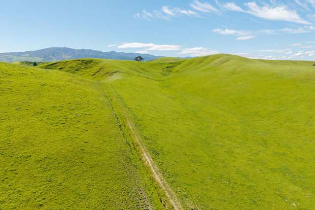 79816 State Highway 2 Woodville_4