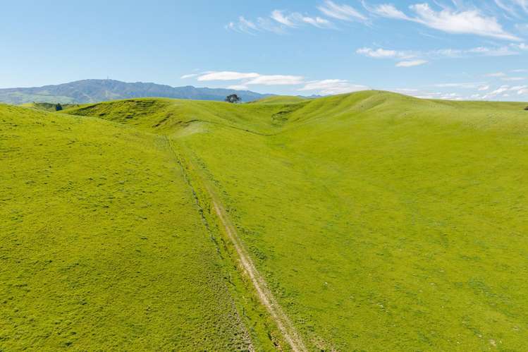 79816 State Highway 2 Woodville_4