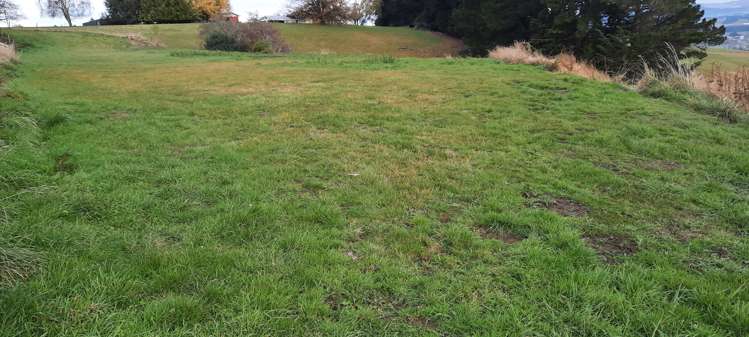 Milton Highway Balclutha_5