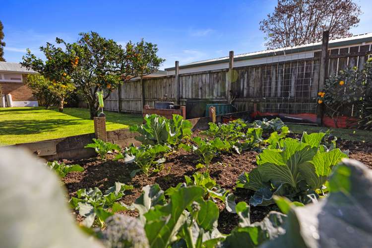 12 Henderson Crescent Parkvale_20