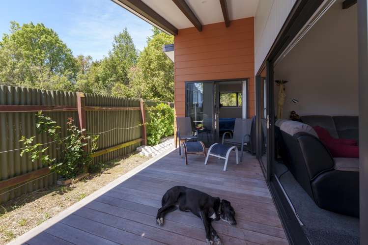 4B Buckley Street Cheviot_11