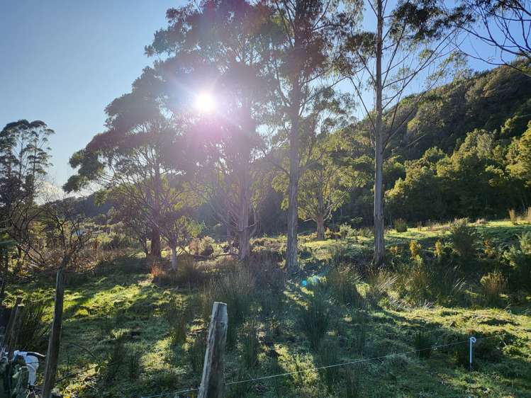 42 Herd Street Dunollie_6