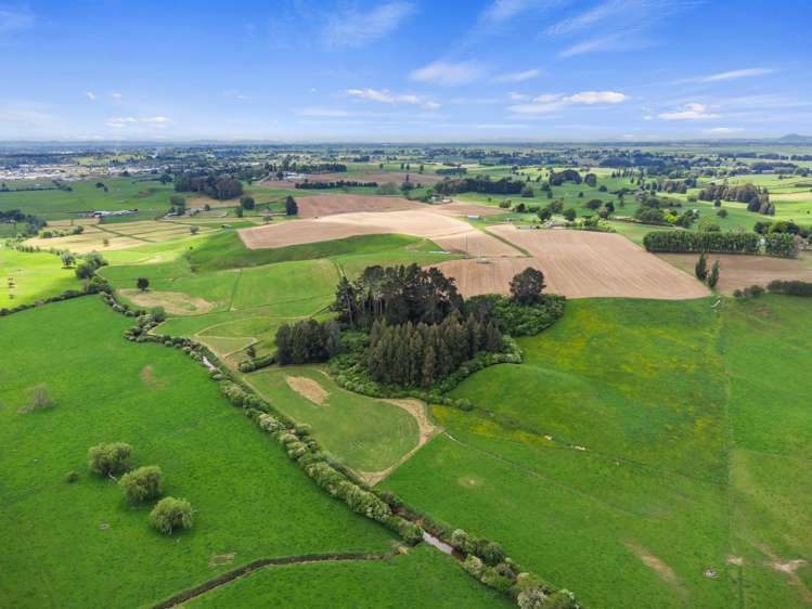 54 Puahue Road Te Awamutu_25