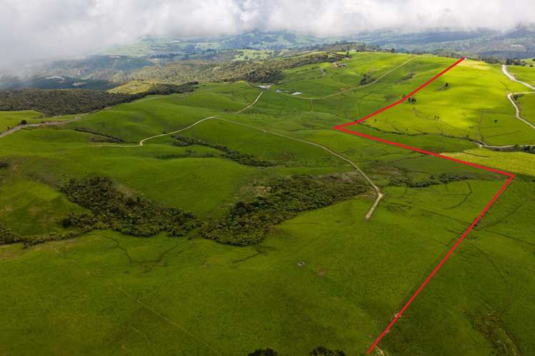 89 Jones Road Donnellys Crossing_50