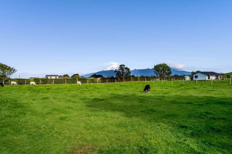 302 Smart Road Hillsborough_8