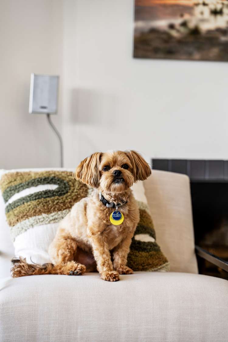 11 Bank Street Hillcrest_31