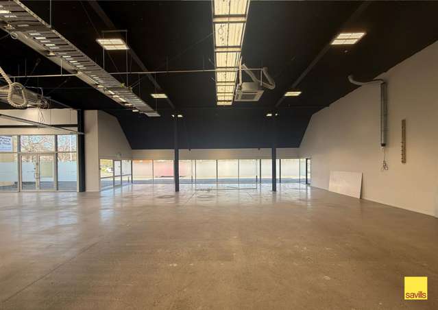 241 Brougham Street Sydenham_4