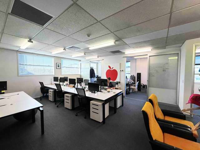 22 Newton Road Grey Lynn_4