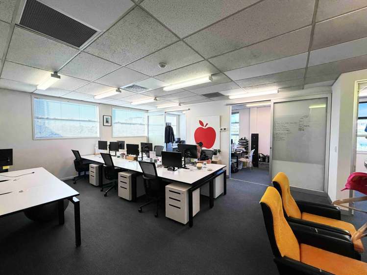 22 Newton Road Grey Lynn_4