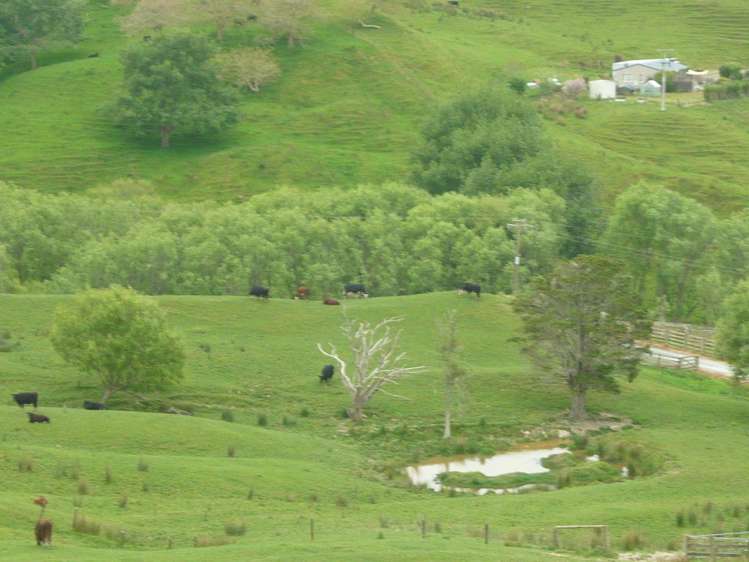 125 James Road Maungaturoto_5