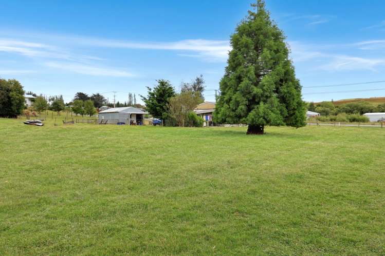 15 Sinclair Avenue Nightcaps_23