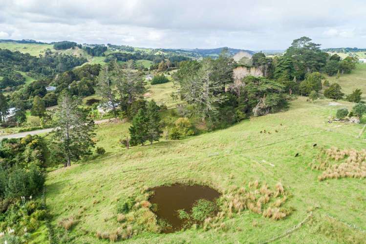 State Highway 12 Paparoa_7