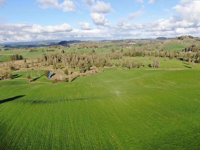 Waitomo Caves Road Waitomo_2
