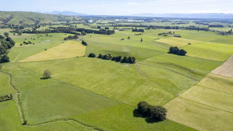 43 Taumata Island Road Carterton_17